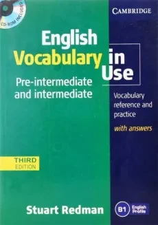 English Vocabulary In Use Pre-inter and Intermediate (3rd)